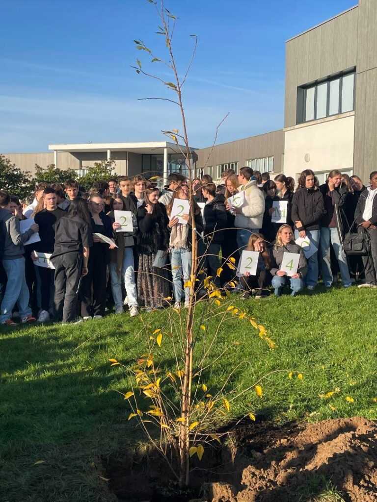 Plantation de l’arbre de promotion