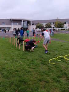 IMG_20240419_094852